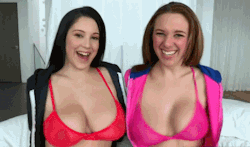 big-boob-gifs:  Noelle Easton  Follow Big Boob GIFs for more big boobs.Big boobs in action 