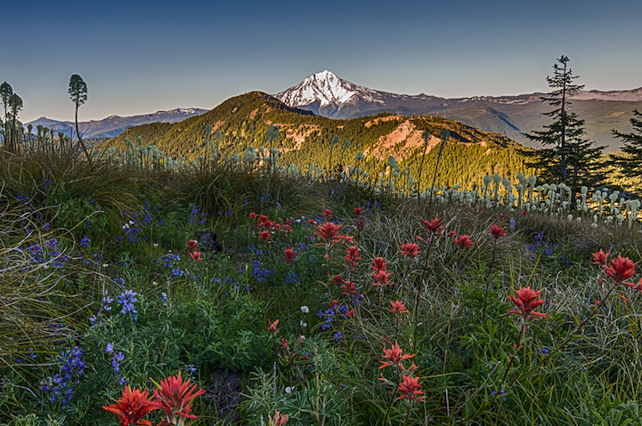 bobbycaputo:    Breathtaking Landscapes Capture the Diverse Beauty of Oregon Photographed