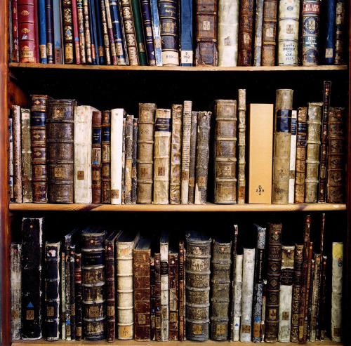 XXX kelseyoneire:  blua:  Candida Hofer - Libraries photo