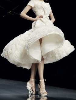 skaodi:  Christian Dior Haute Couture Spring/Summer 2009. 