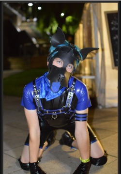 pup-kato:  scoutpupp:  Check me out :3 being