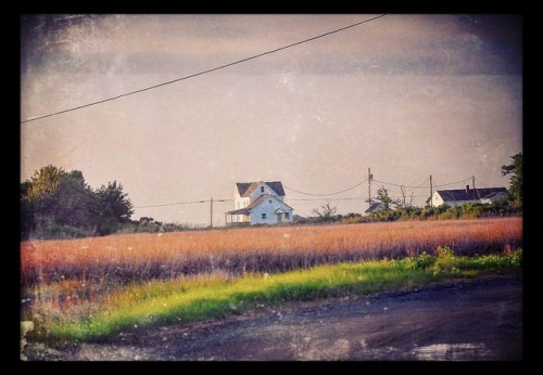 Another capture more distant of this house on the road back from Rogue’s Pt #photo #photos #nikon #p