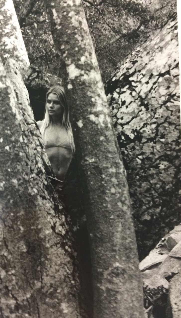 DANA TRIPPE