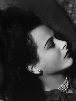 gatabella:  Hedy Lamarr 