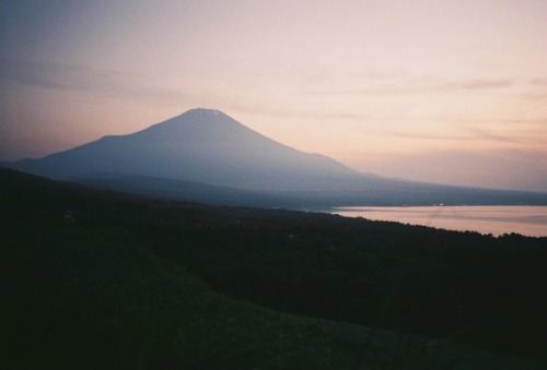 ジャスト、今な風景だけれど、今年じゃないよ(笑)ここの所の写真は、みんなそう。過去写真だったり、家から半径２キロばかり。でも、やっと、昨日、犬を湖に連れて行ったよ(^^♪