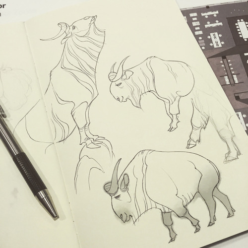 shoomlah:  the first 12 days of Inktober!  I’ve been doing ungulates because… because I love ungulates. 