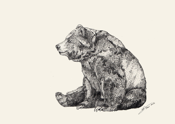 lohrien:  Illustrations by Sandra Dieckmann  society6 l tumblr l website 