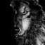 sadwolf2354-blog