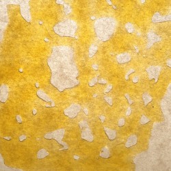 errld:  Happy #Shatterday! Don’t forget