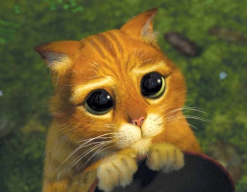 This Is How Zuko Looked At Katara When He First Joined Team Avatar