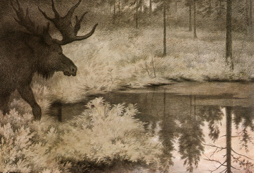 Theodor Kittelsen Illustrations for Norwegian fairy tales