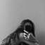 aliensarahh