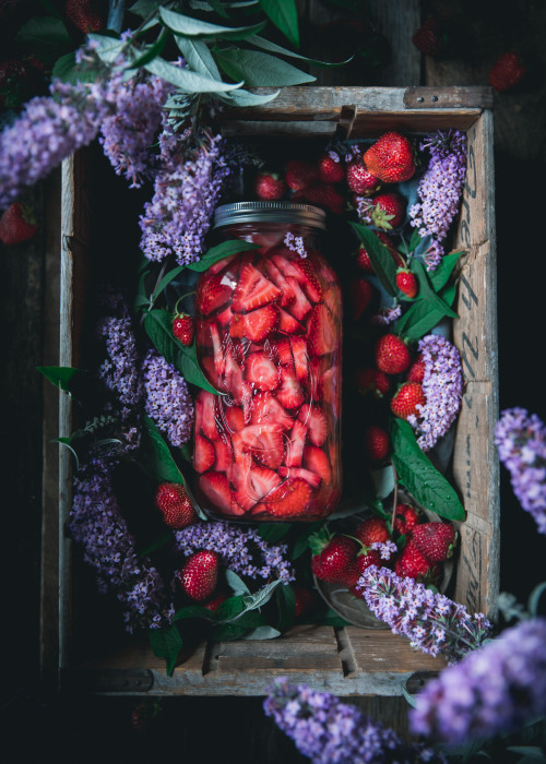 sweetoothgirl: Homemade Strawberry Liqueur