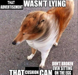 cedarspiced:tiktoksthataregood-ish:
