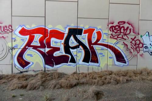 Reak (TRB).