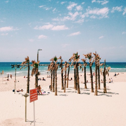 Gordon Beach #vscoism #vscam #vscocam #vsco_lover #beach #telaviv #israel #travel #nature #palmtrees