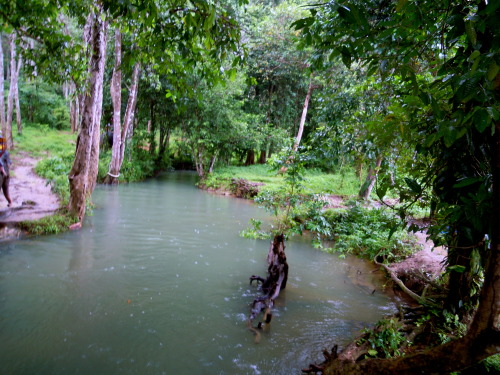 pacific-wolf:  get lost in today with me  ❁❁ following back  ❁❁