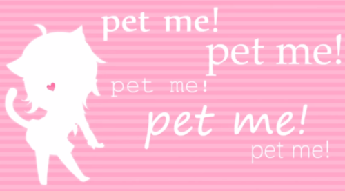 XXX littlepetscorner:  Pets please?  photo