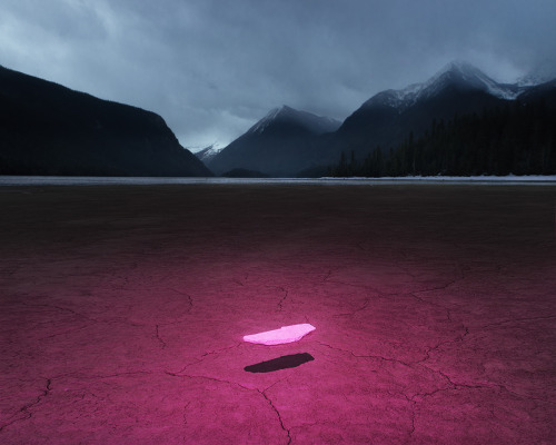 darksilenceinsuburbia:    Benoit Paillé: The Kitsch Destruction of Our World