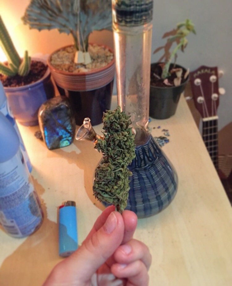 woopdewoopwoop:Picked up today and got an actual tree for a nug