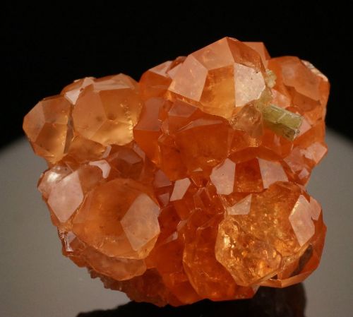 Grossular var. Hessonite Garnet with Diopside - Jeffrey Mine, Asbestos, Les Sources RCM, Estrie, Que