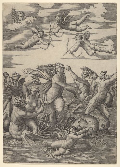 Galatea Standing in a Water-Chariot Pulled by Dolphins by Marcantonio Raimondi (1515-16)