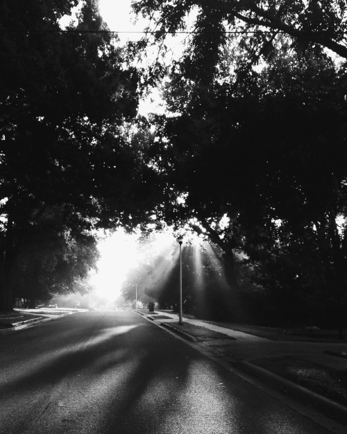 katerieke:The light on our street this morning. © kate rieke