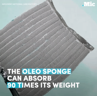 the-future-now:This tiny sponge could help clean up oil spills. | follow @the-future-now