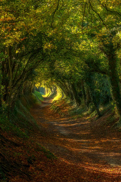 wonderous-world:  Hobbit by Sam Moore 