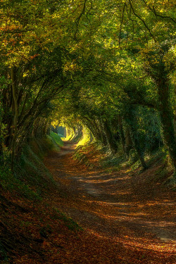 lotrscenery:The Shire<3