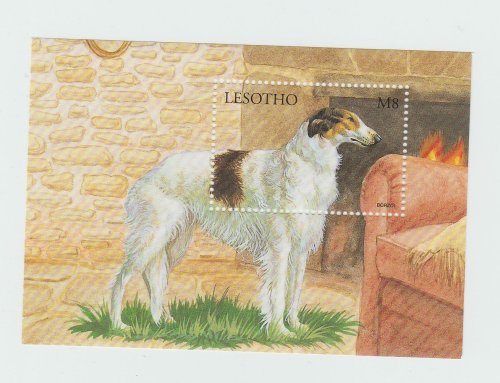 grayghostofthenorth:BORZOI Souvenir Sheet  (Lesotho South Africa)