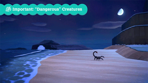 dewsi:Important: “Dangerous” Creatures