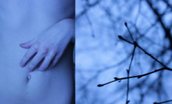 nataliemirina:  Branches that pricking inside.