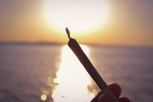 chronicallycloudy - Nothing’s better than a joint at sunset at...