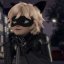 miraculouskittylover
