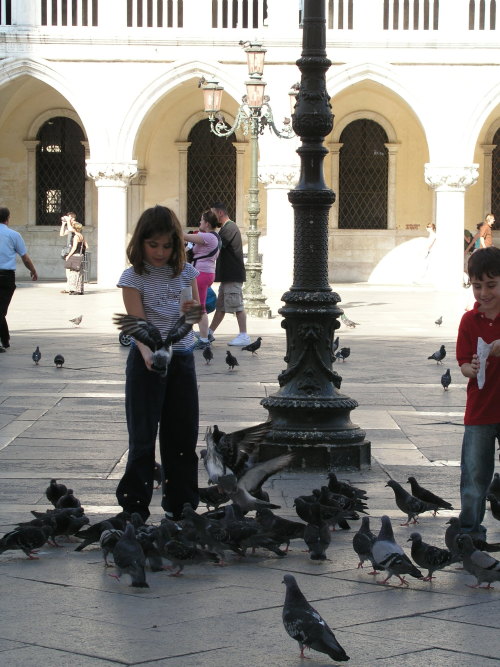 St Mark’s Square, 2006. Those pigeons don’t give a flying fuck about anything.