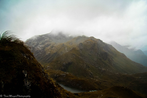 Harris Saddle StudyRouteburn Great Walk, New Zealand