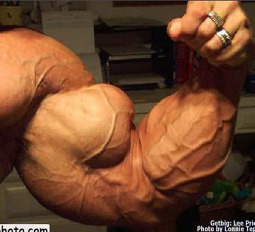 musclemonsterz:  Lee Priest adult photos