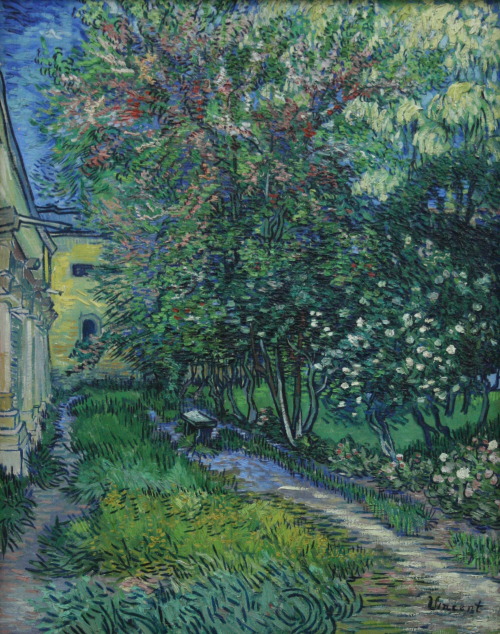 -The Garden At The Asylum At Saint-Rmy-