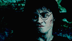 remusjohnslupin:  Harry then did something that was both very brave and very stupid.