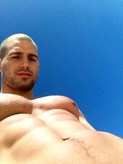 Todd Sanfield 