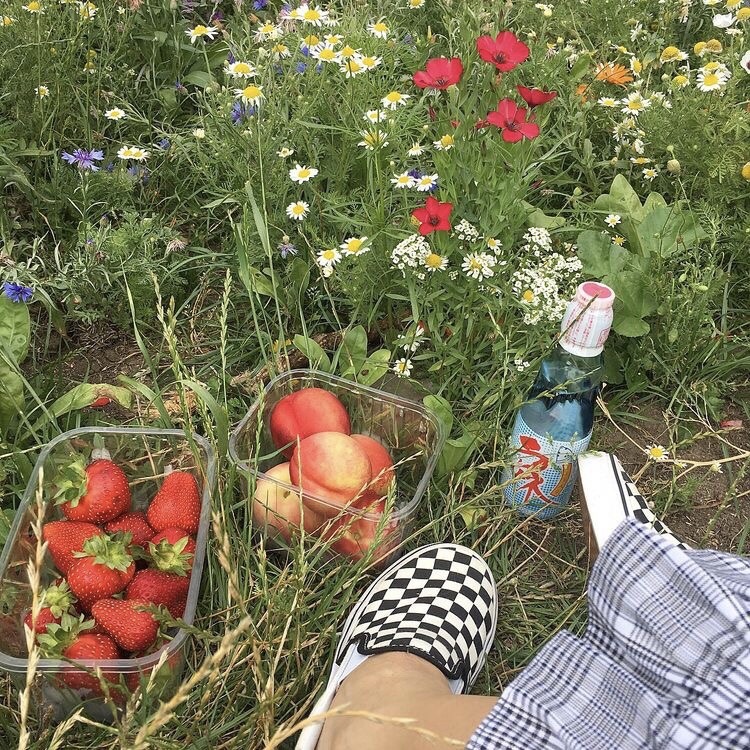 fruitie:        