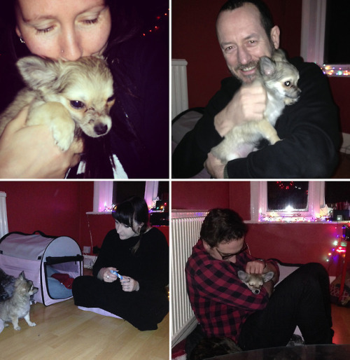 Thursday 22nd February 2018: It was so good to meet Archie, Su and David’s 11 week old Chihuahua, th