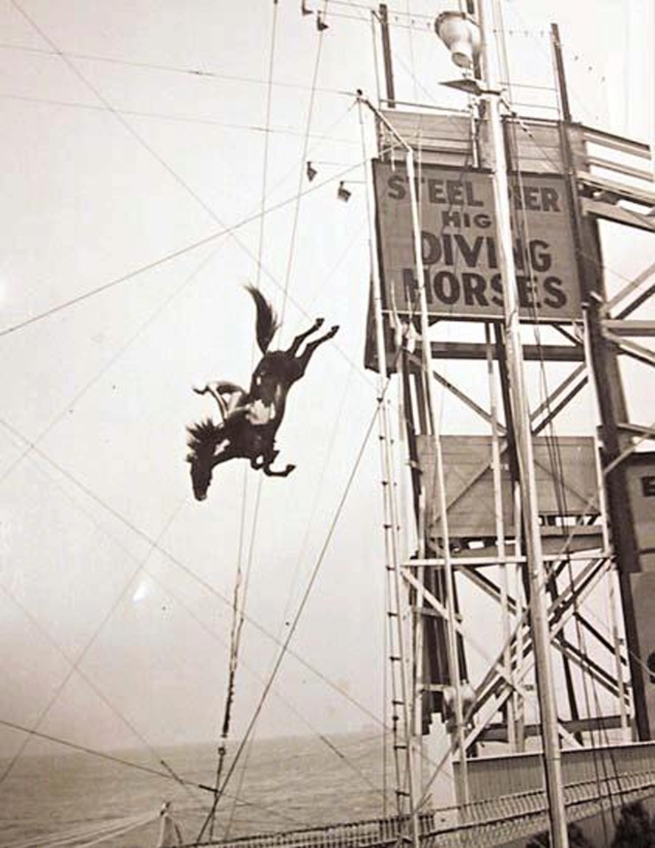 Diving Horse and Rider at Atlantic City&rsquo;s Steel Pier in the 1920s.