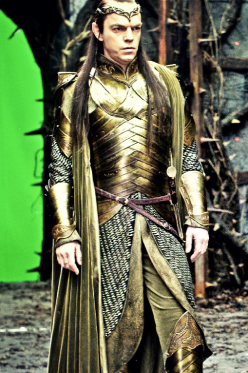 l-o-t-r:  “He was as noble and fair as an elf-lord, as strong as a warrior, as wise as a wizard, as venerable as a king of dwarves, and as kind as summer.” 