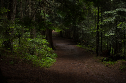 lobo-de-luna: Nice rainy wet day (too wet) Liberty Creek trail, Washington 6-25-14