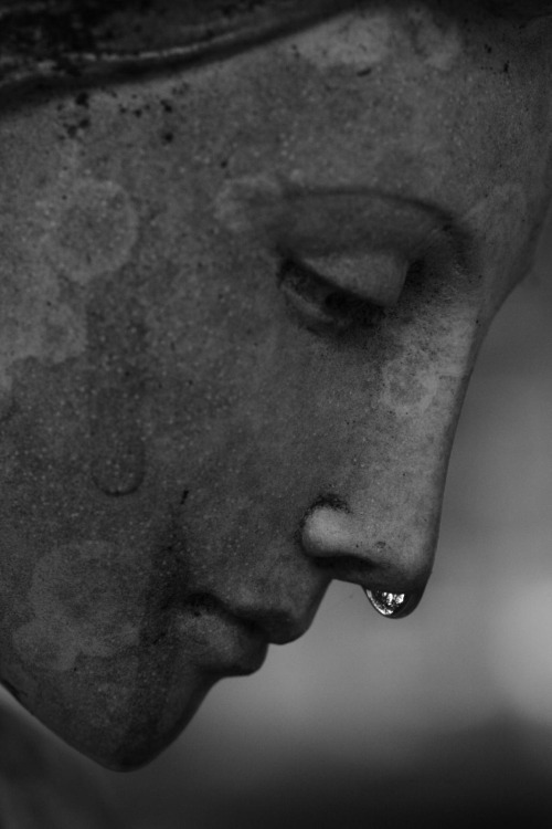 mymindintheclouds:
“butisitartphoto:
“cemetery angel in the rain, b&w #6
”
__ 🩶__
”