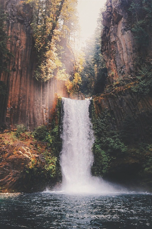 xxcats-eyesxx:  Boho / indie / nature blog 