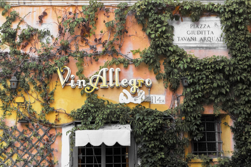 Vin Allegro wine bar, Trastevere, RomeTrastevere | Rome