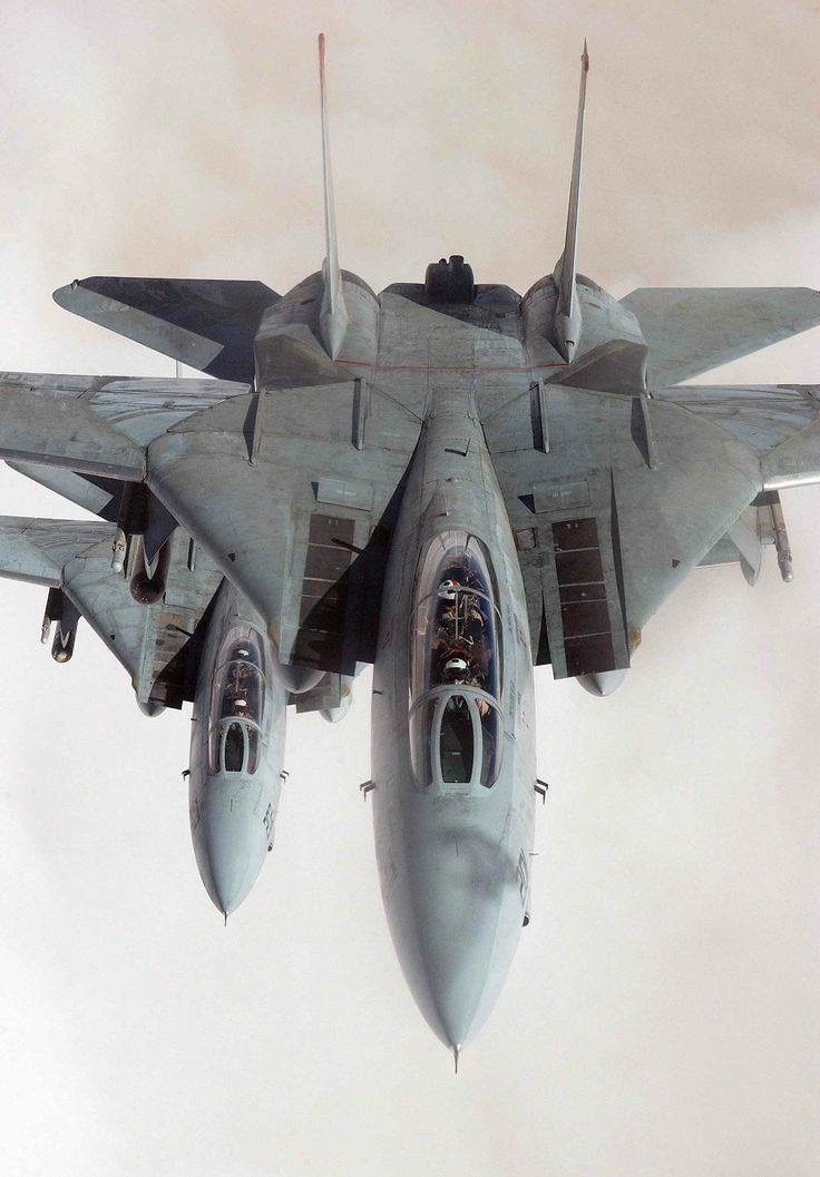 i-love-jet-noise:  F-14 Tomcats